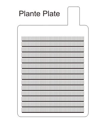 植物板