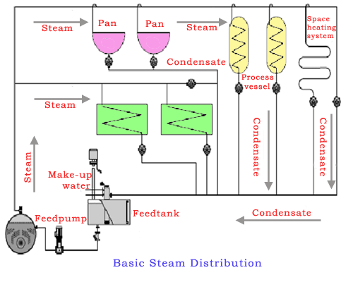 基本的蒸汽分布