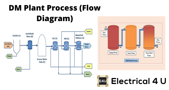 DM植物过程（流程图）