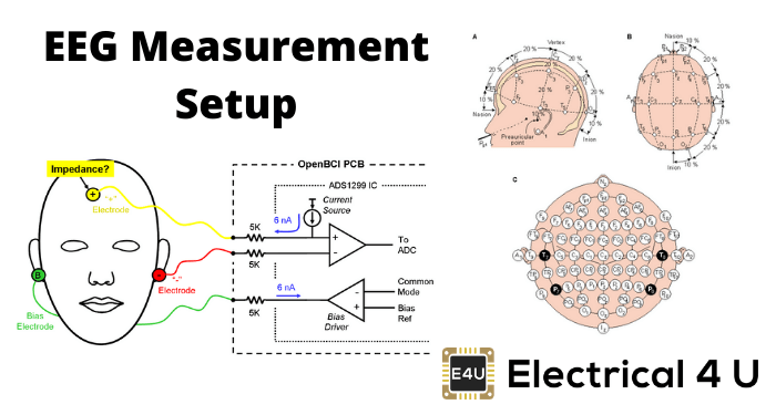 EEG测量设置