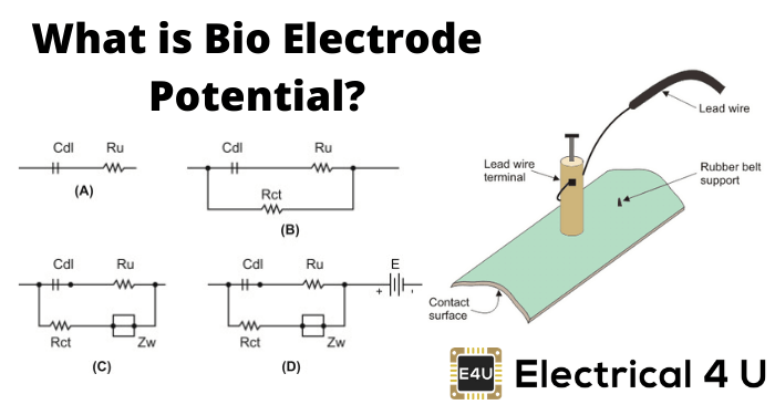 什么是生物电极电位