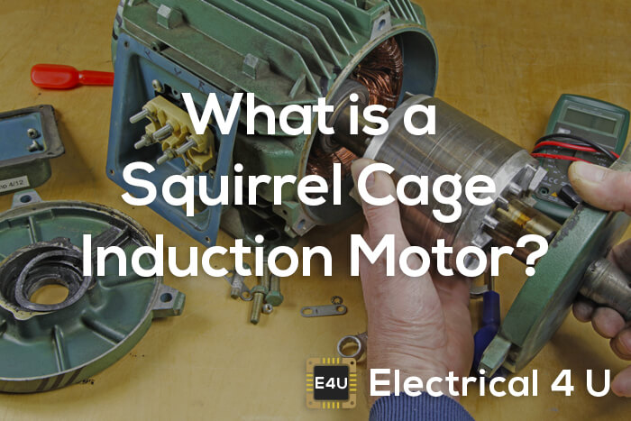 什么是松鼠笼感应电动机