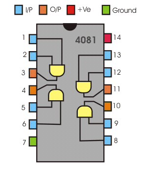 IC 4081.