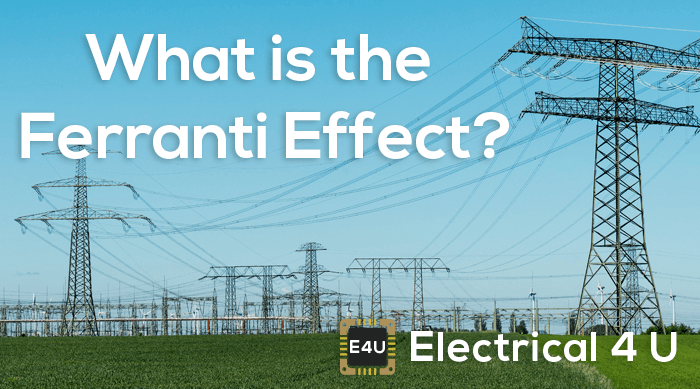 什么是菲兰蒂效应